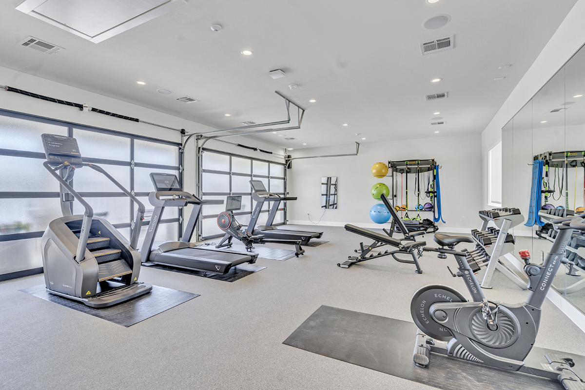 Bright home gym with treadmills, elliptical, stationary bike, rowing machine, weight bench, dumbbells, exercise balls, and mirrors. Large windows let in natural light.