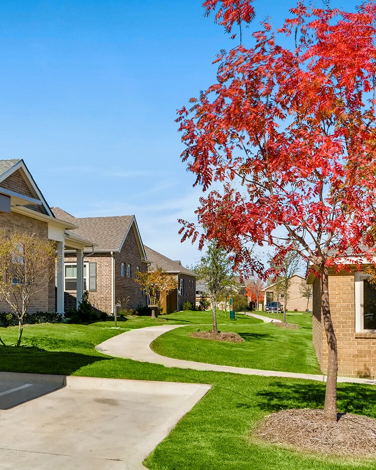 tree with red leaves a sidewalk and three houses in a built to rent neighborhood