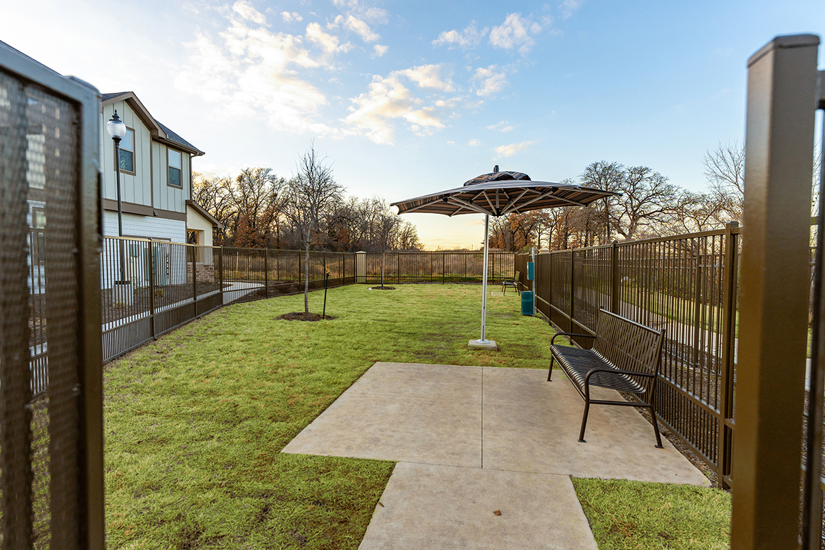 Fenced grassy dog park with a bench, umbrella shade, waste bin, and small trees. A modern building is on the left, and the sky is partly cloudy at sunset.